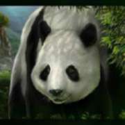 Символ Панда в Wild Orient