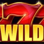 Символ Wild в Hot Coins Hold and Win