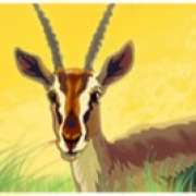Символ Антилопа в Safari Dream