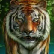 Символ Тигр в Wild Orient