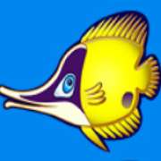 Символ Желтая рыба в Wild Shark