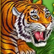 Символ Wild в Grand Tiger