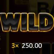 Символ Wild в 3 Coins Hold and Win
