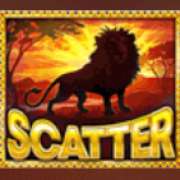 Символ Scatter в Lion Gold Super Stake Edition