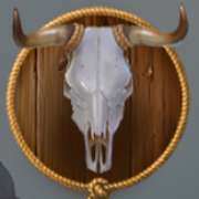 Символ Голова в Wild Rodeo