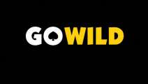 Каталог игр Red Tiger теперь в сети брендов GOWILD